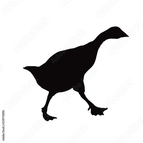 A duck body silhouette vector