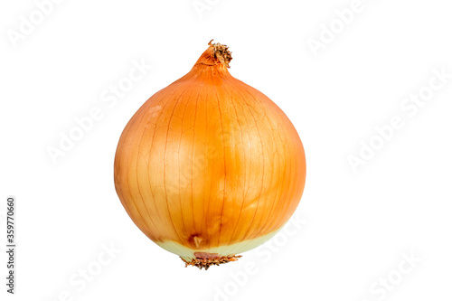 Onion, Asian cooking ingredient