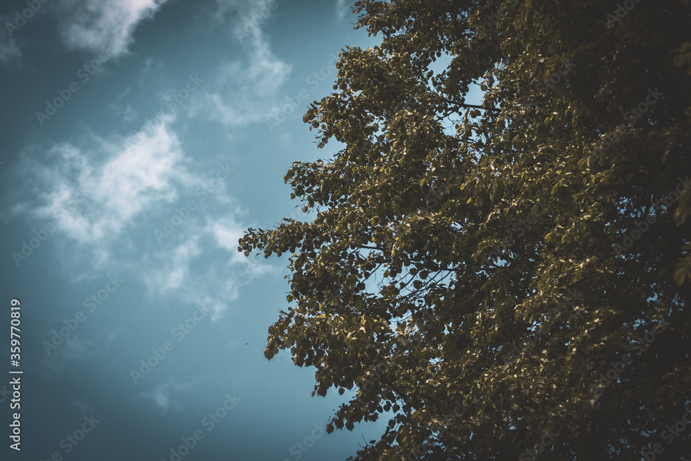 Obraz premium Sky in the town