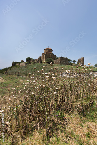 Beautiful flowers at the forground of Jvari Monestry, Mtskheta photo