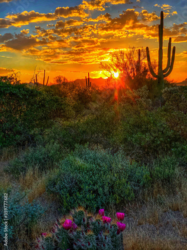 Sunset in the desert photo