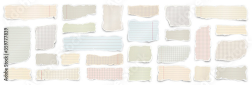 Ripped colored paper strips. Realistic crumpled paper scraps with torn edges. Lined shreds of notebook pages. Vector illustration.