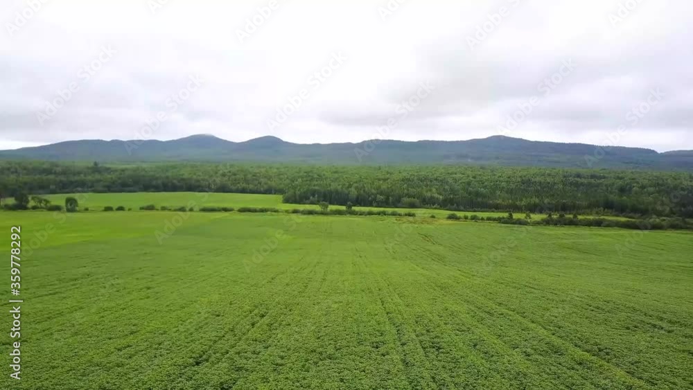 Drone shooting over neatly cultivated cultivated fields, in Quebec, Canada. Point of view moving sideways. Acid green nature, white cloudy sky. Drone shooting over neatly cultivated cultivated fields, in Quebec, Canada. Point of view moving sideways. Acid green nature, white cloudy sky.