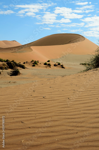 NAMIBIA. BIG SAND DUNES IN THE NAMIB DESERT. © mario