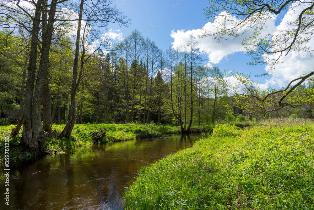 A river in the Blue Lakes region of the Narachanski National Park