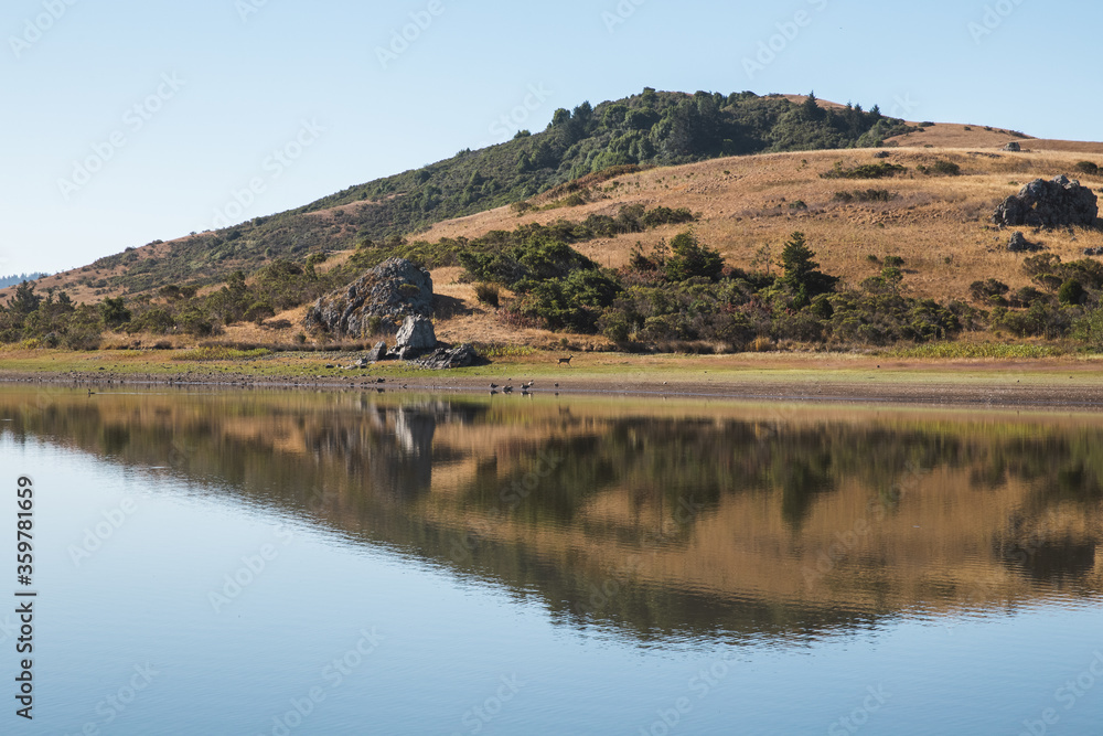 reflection of trees and golden hill in the lake reflection of trees and golden hill in the lake