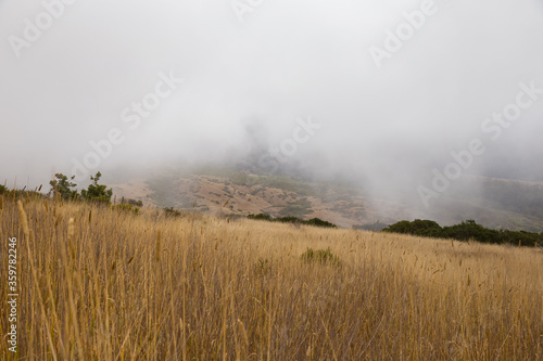 foggy morning on the hills of Big Sur, California