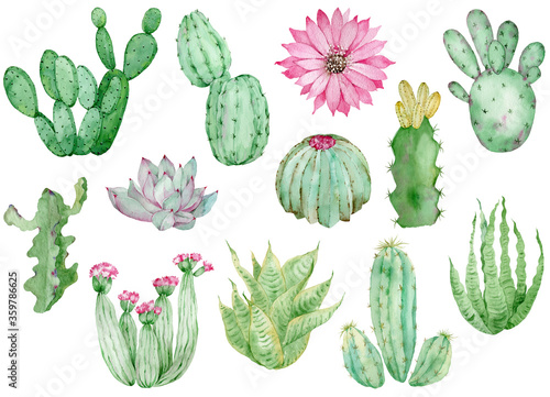 Collection of Cactuses isolated on the white background. Watercolor hand drawn set illustration.