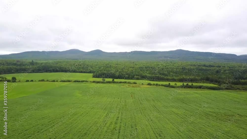 Drone shooting over cultivated cultivated fields, in Quebec, Canada. Point of view moving sideways and upwards. Acid green nature, white cloudy sky. Drone shooting over cultivated cultivated fields, in Quebec, Canada. Point of view moving sideways and upwards. Acid green nature, white cloudy sky.