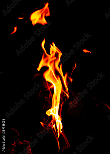 fire on black background resembling a sea horse