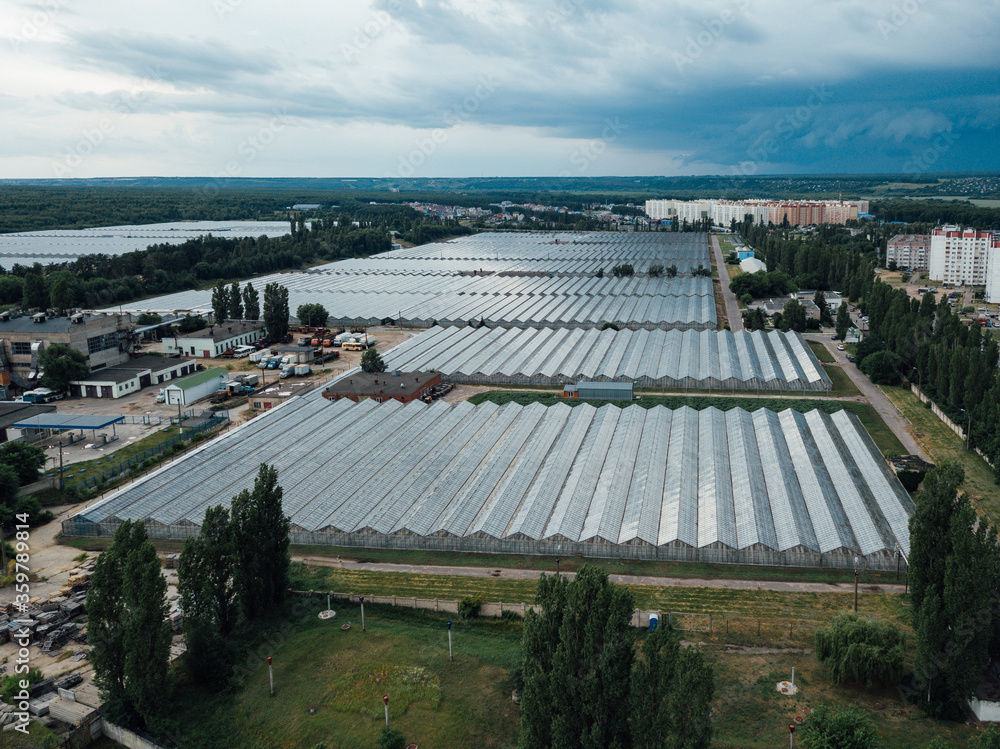 Aerial drone view of modern greenhouse complex