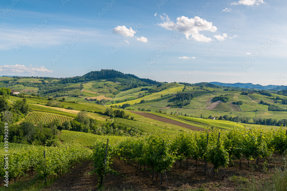 Obraz premium Oltrepo' Pavese landscape hills with wineyards and country roads and Montalto Pavese castle in the background in a sunny day