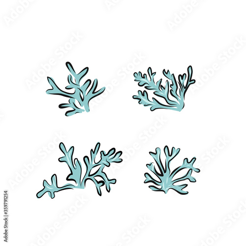 Hand drawn vector illustration - Set with seaweed. Sketch