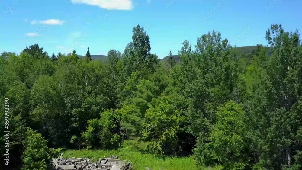 Drone shooting in Laurentides, Canada. Point of view slowly rising towards the top of the trees, wide angle view of a green lush valley. Drone shooting in Laurentides, Canada. Point of view slowly rising towards the top of the trees, wide angle view of a green lush valley.