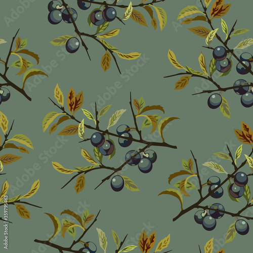 Seamless floral pattern with branches of blackthorn plant with leaves and fruits. Prunus Spinosa.