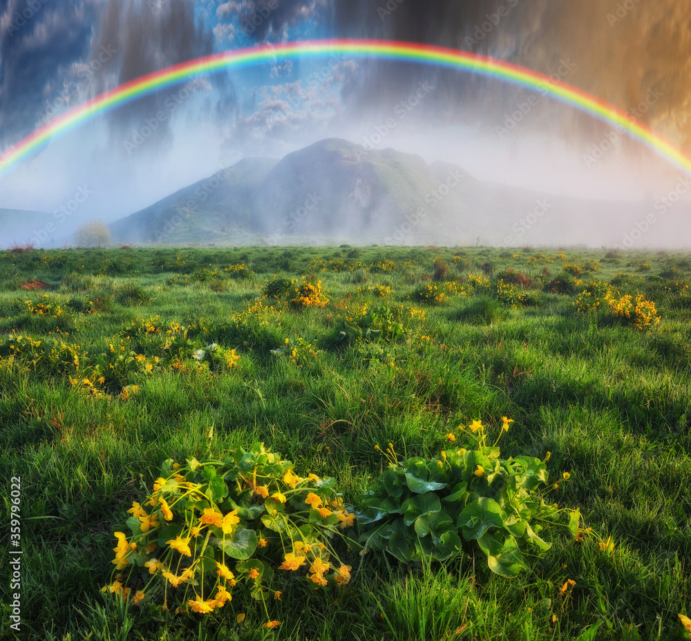 Naklejka premium Rainbow over the meadow. picturesque spring morning