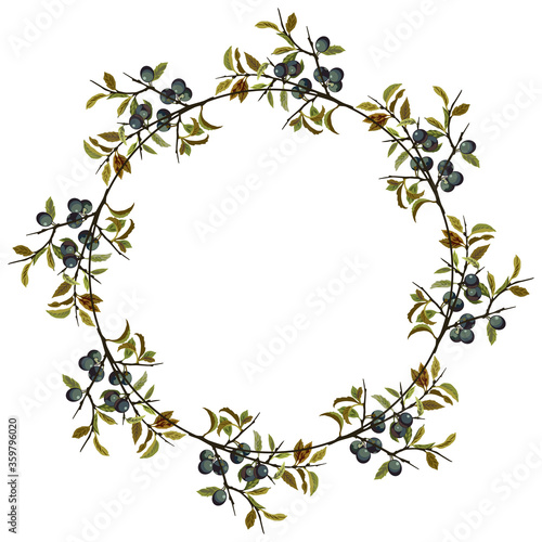 Round floral decor or frame. Wreath of blackthorn branches. Prunus Spinosa.