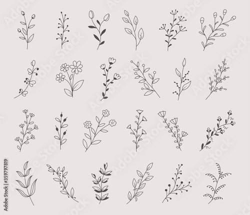 Fototapeta Naklejka Na Ścianę i Meble -  Set of hand drawn flowers, branches and leaves, vector illustration