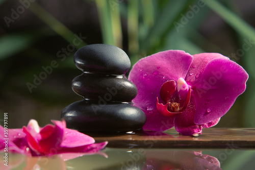 Black zen stones and pink orchids on a wooden plank on the surface of the water. SPA, relaxation, meditation concept