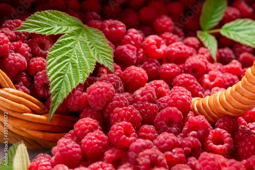 Fresh forest raspberries scattered on the table from an overturned wicker basket  close-up