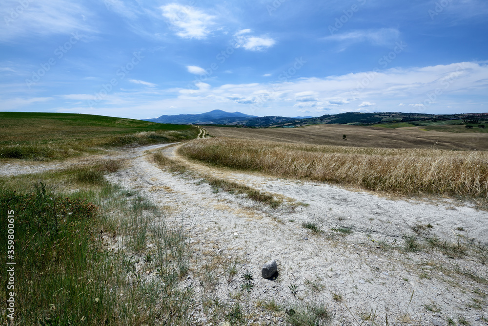 Fototapeta premium landscape in tuscany