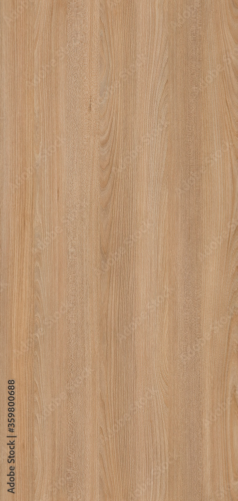 Background image featuring a beautiful, natural wood texture Background image featuring a beautiful, natural wood texture