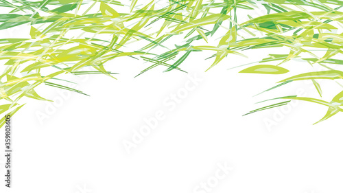 水彩のような笹・竹の背景素材