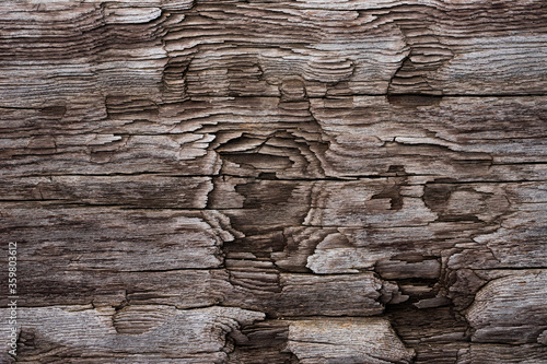 old wood texture