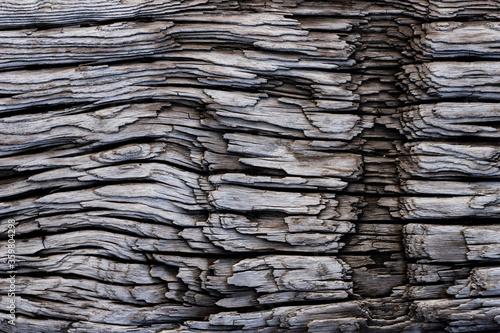 old wood texture