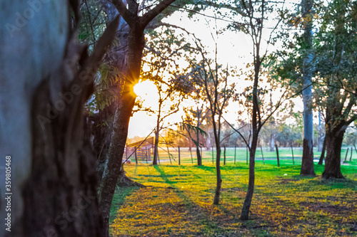 Photos ultimas horas de sol en el campo