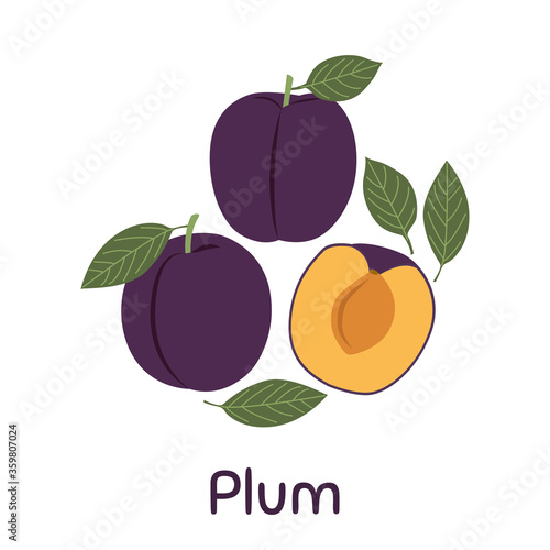 Plum. Vector Illustration EPS.