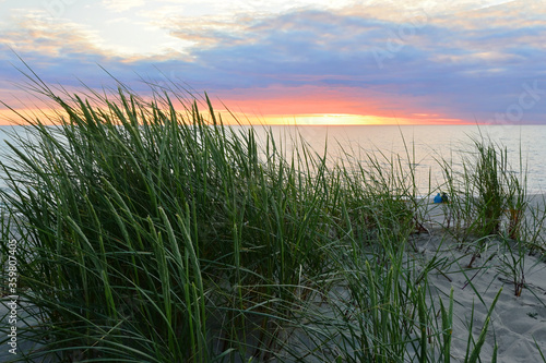 High sandy grass with ears in the foreground. The background is a beautiful sunset on the sea coast. Near the water, two are watching the sunset over the horizon.
