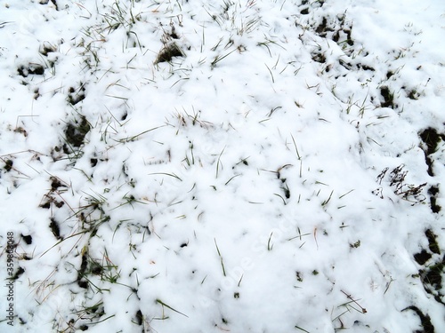 日本の田舎の風景 2月 雪の降った日 草叢