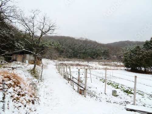 日本の田舎の風景　2月　雪の降った日　田舎道