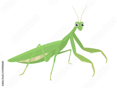カマキリのイラスト