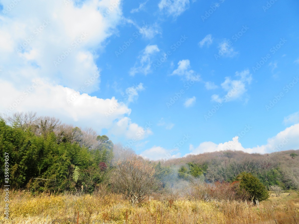 Obraz premium 日本の田舎の風景 2月 早春の畑焼き 山の木々と青空