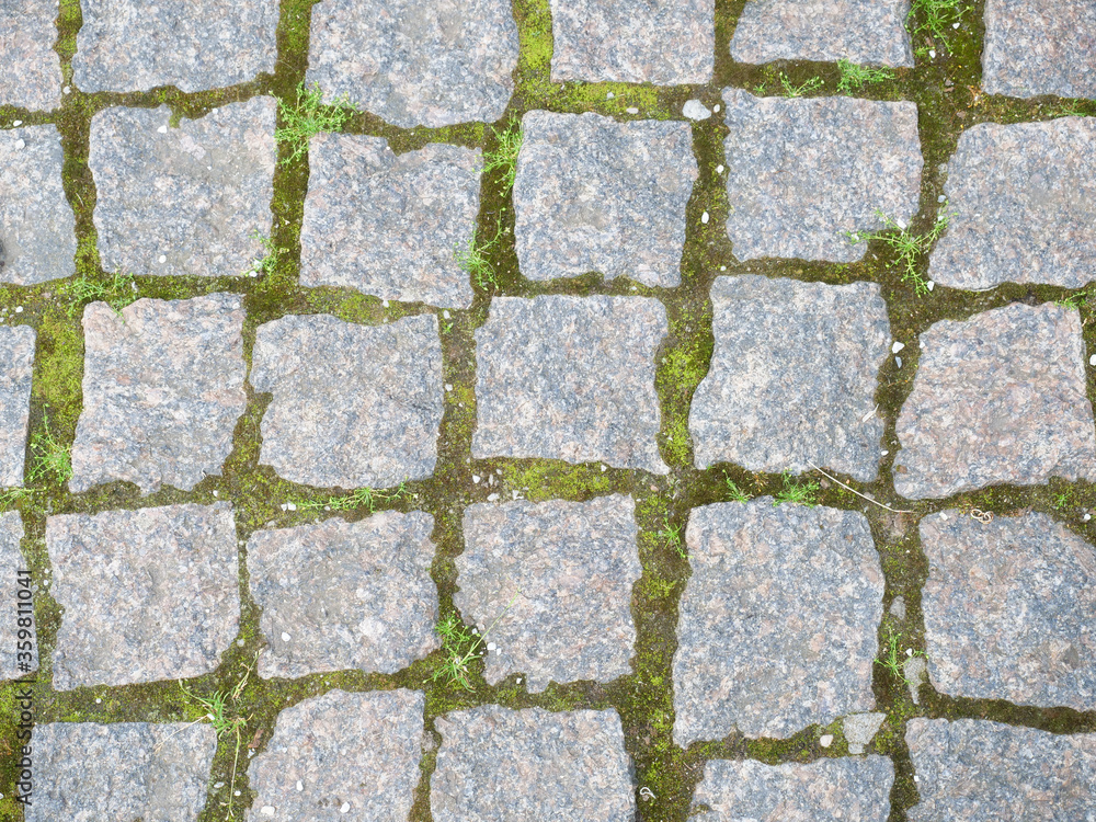 Obraz premium path lined with blocks with grass in between, top view