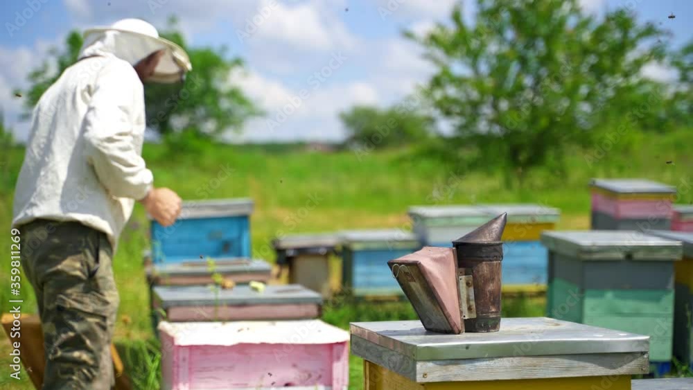 Apiculturist on a bees farm. Beekeeper inspecting beehive among nature. Bee chimney on a hive to calm bees with smoke. Bees flying on apiary. Apiculturist on a bees farm. Beekeeper inspecting beehive among nature. Bee chimney on a hive to calm bees with smoke. Bees flying on apiary.