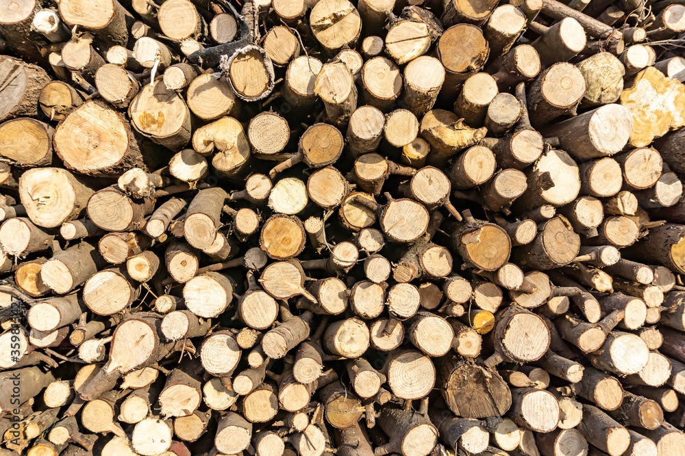 Stack of sawn logs. Natural wooden decor background.