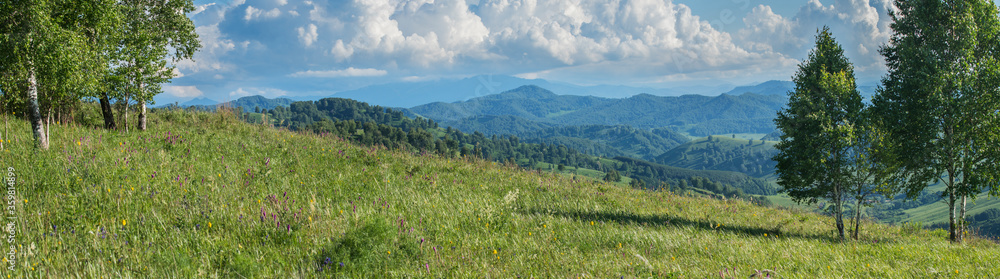 Panoramic view, mountain landscape. The greens of the summer meadow, forests.