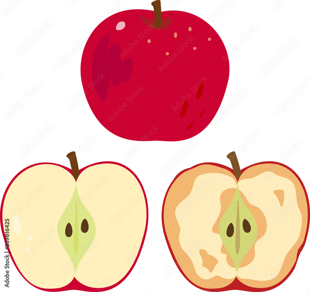 半分に切ったリンゴと断面が変色したリンゴ Stock Vector Adobe Stock