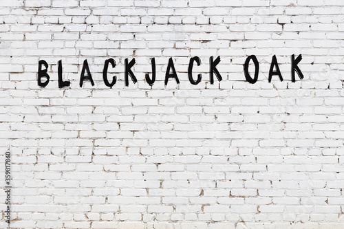 White wall with black paint inscription blackjack oak on it photo