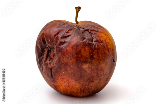 Rotting apples, decay and food waste concept with photograph of unhealthy decayed bad apple isolated on white background with clipping path cutout photo