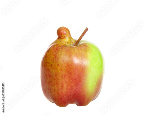 Konstfotografi freshly picked apple with malformation growth