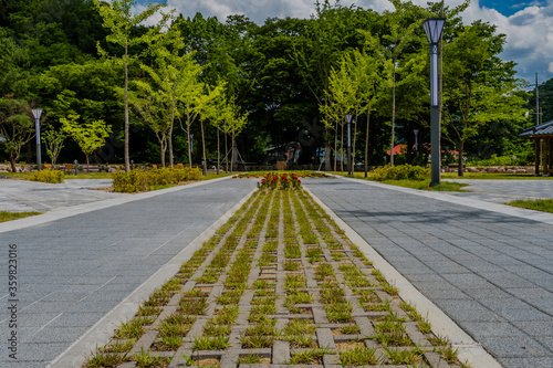 Bricks and grass in concrete walkway