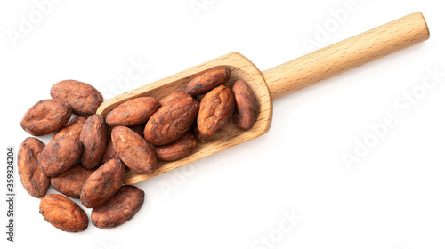 dried cocoa beans in the wooden scoop, isolated on white background, top view