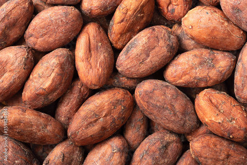 food background of dried cocoa beans, top view