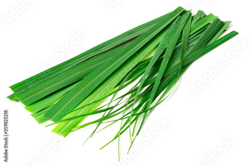 Canvas Print fresh lemongrass leaves isolated on white background