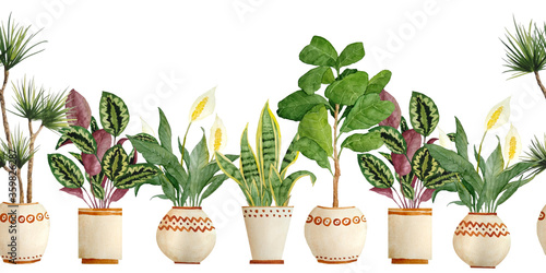 Watercolor hand drawn seamless horizontal border with houseplants in brown clay terra cotta pots. Potted sanseviera snake plant, calathea, pease lily Spathiphyllum,ficus fiddle leaf tree. Flowerpots