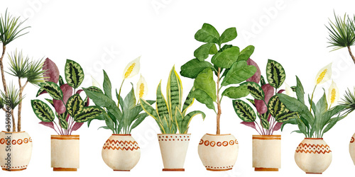 Watercolor hand drawn seamless horizontal border with houseplants in brown clay terra cotta pots. Potted sanseviera snake plant, calathea, pease lily Spathiphyllum,ficus fiddle leaf tree. Flowerpots photo